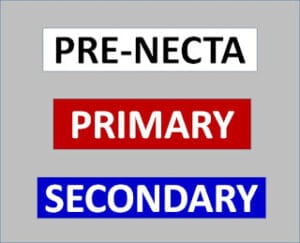 Pre-Necta Exams for Primary and Secondary Schools
