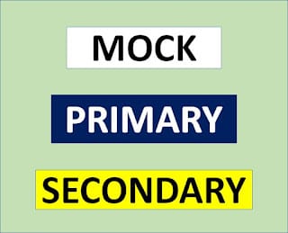 Mock Exams for Primary and Secondary Schools