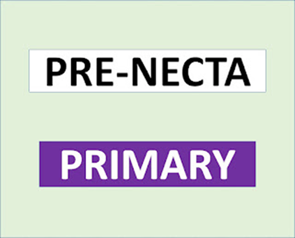 Pre-Necta Exams for Primary Schools – All Regions