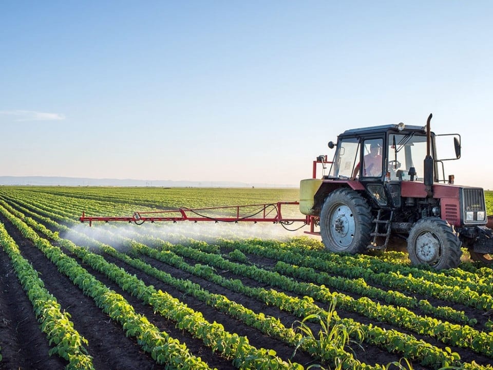 AGRICULTURE NOTES FOR ORDINARY LEVEL
