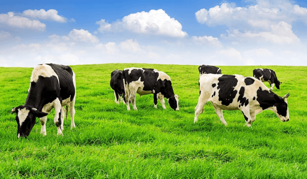 AGRICULTURE NOTES FOR FORM ONE – ALL TOPICS