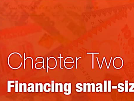 BUSINESS STUDIES – Form 2 | Topic 2 – FINANCING SMALL-SIZED BUSINESS