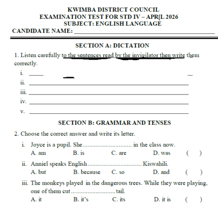 Karatu – Mitihani ya Darasa la Nne | Mock 2026 – Download All Subjects