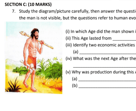 Mission Schools – Standard Seven | Joint Exams – March 2026 | Download All Subjects