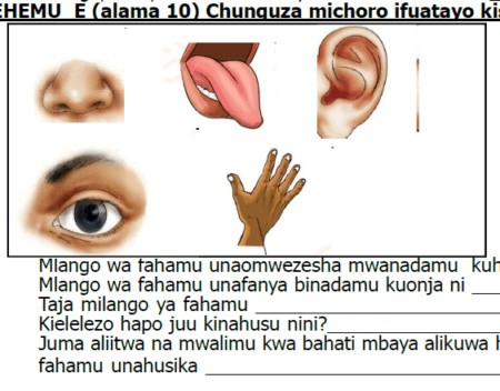Kagera – Mitihani ya Darasa la Tatu | Terminal 2026 | Download All Subjects