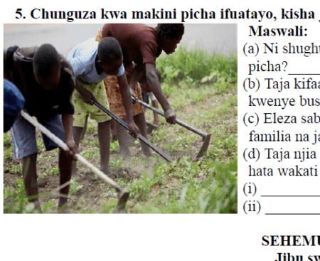 Meru – Mitihani ya Darasa la Nne | Jaribio 2026 – Download All Subjects